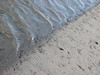 Water’s Edge